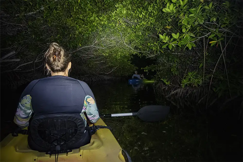 Tijdens de Night Kayak Tour van het Mangrove Center op Bonaire verken je het mangrovebos bij nacht.