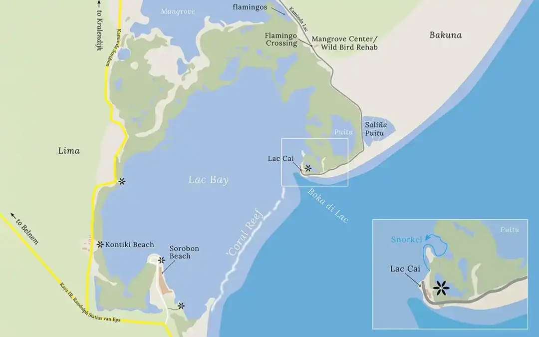 Visit Lac Cai, an oasis of serenity on Bonaire