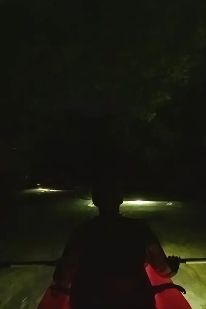 Bekijk wat er 's nachts in de mangrove zwemt tijdens de Night Kayak Tour van het Mangrove Center op Bonaire.