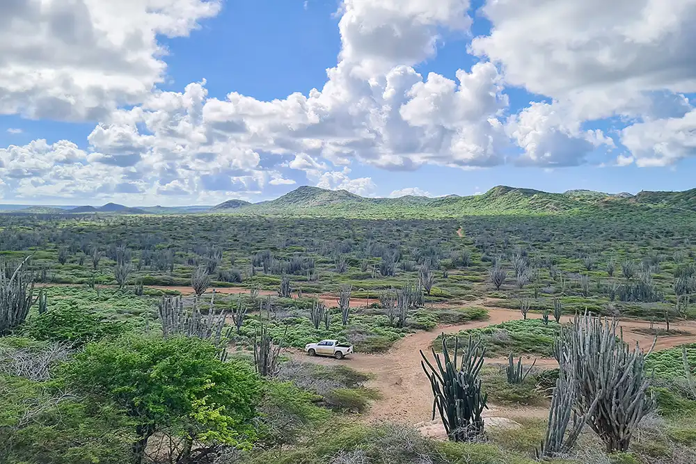 Breathtaking view over Savana from Seru Bentana during the Washington-Slagbaai tour by HopiBonaire.