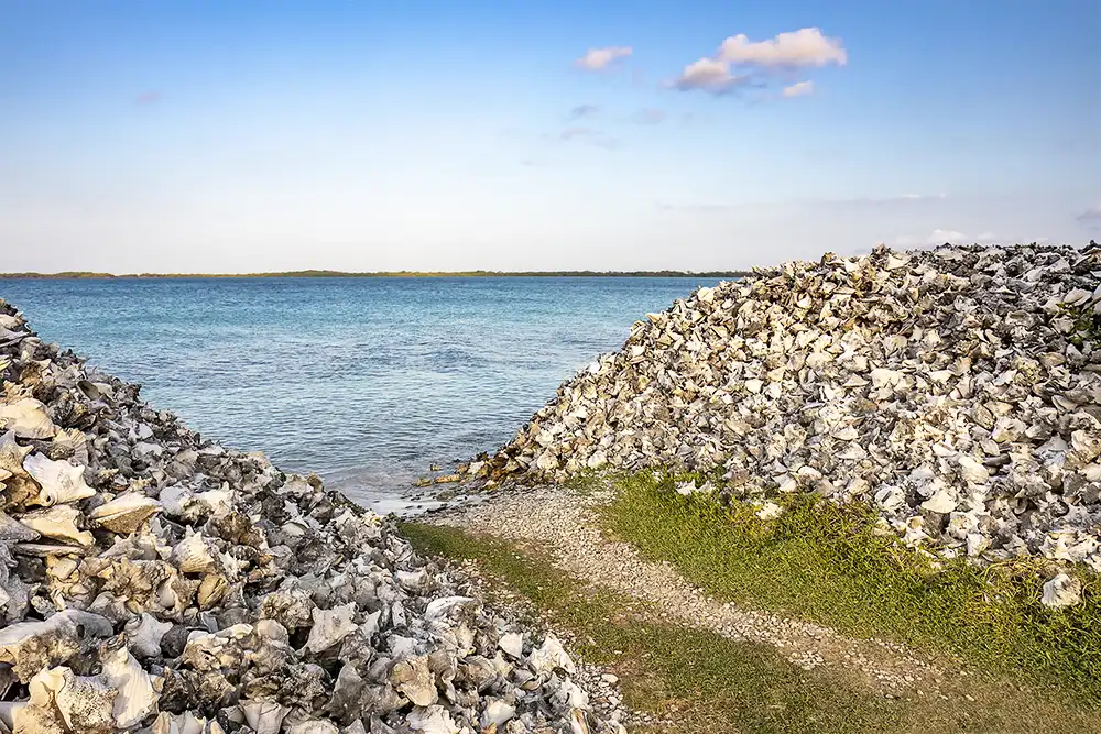 Explore the piles of queen conch shells at Lac Cai in the south of Bonaire during a customized tour with HopiBonaire.