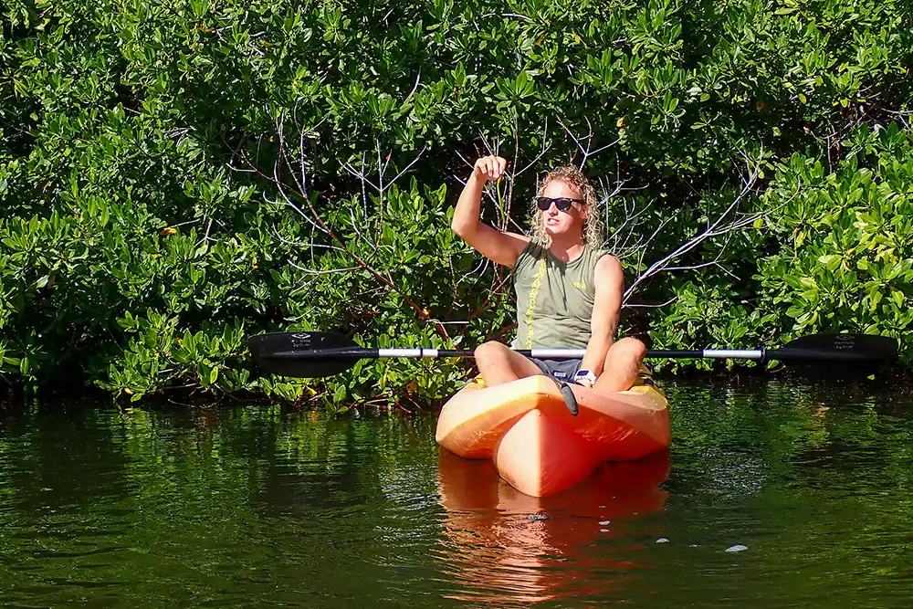 A guide from the Mangrove Center in Bonaire provides explanations about the red mangrove tree while kayaking.