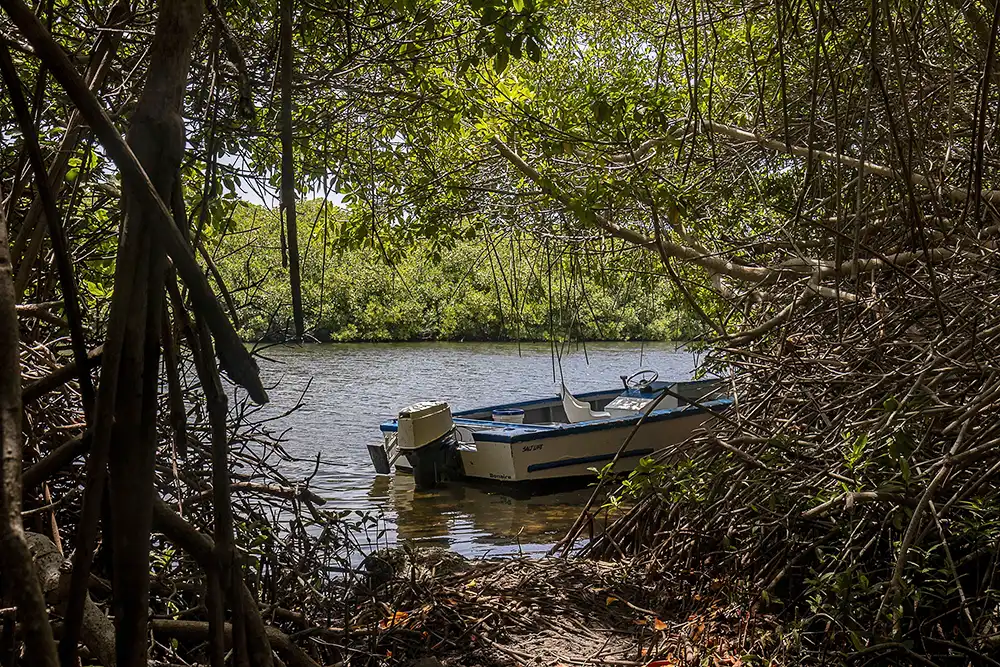A glimpse of a fishing boat in the mangrove of Lac Cai (Bonaire).
