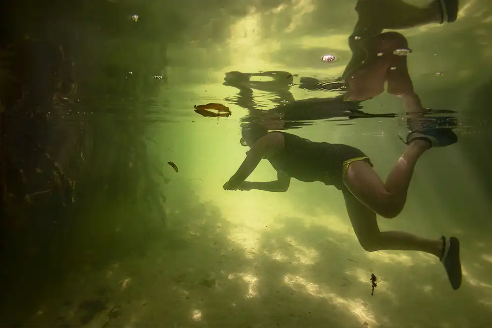 A woman snorkeling in a fisherman's tunnel through the mangrove at Lac Cai. The light in the tunnel is green.