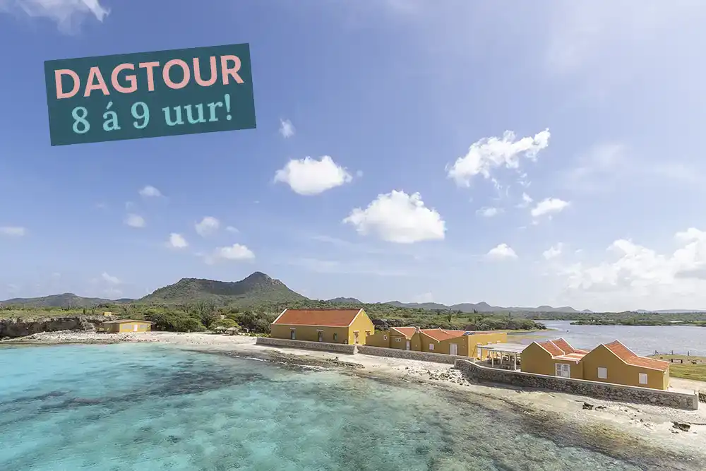 Dagtour van 8 á 9 uur in Washington-Slagbaai National Park op Bonaire.