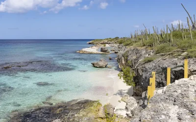 What to do in Bonaire?