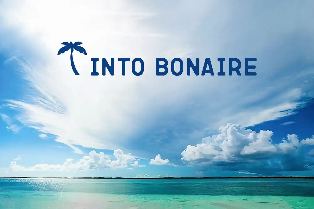Into Bonaire, jouw reisgids voor een ultieme vakantie