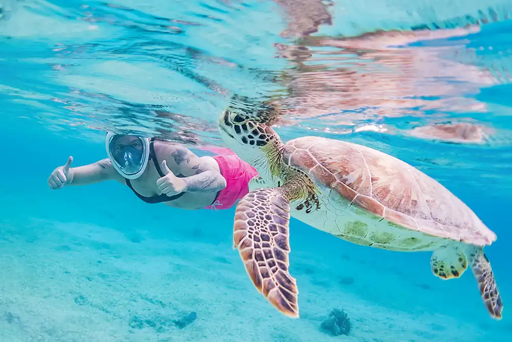 Book a private guided snorkeling tour on Bonaire with HopiBonaire.