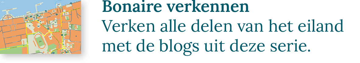 Bonaire verkennen | Verken alle delen van het eiland met de blogs uit deze serie.