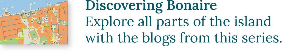 Discovering Bonaire | Explore al parts of the island with the blogs from this series.