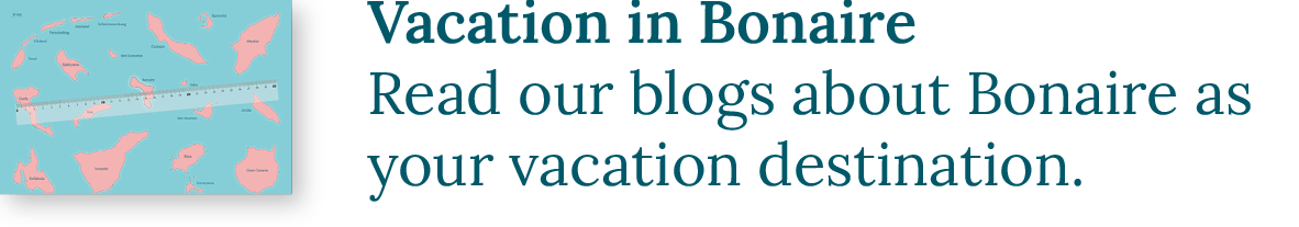 Vacation in Bonaire | Read our blogs about Bonaire as your vacation destination.