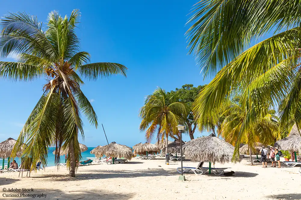 Hagelwit zandstrand en palmbomen op Aruba. Foto: Curioso.Photography (Adobe Stock)