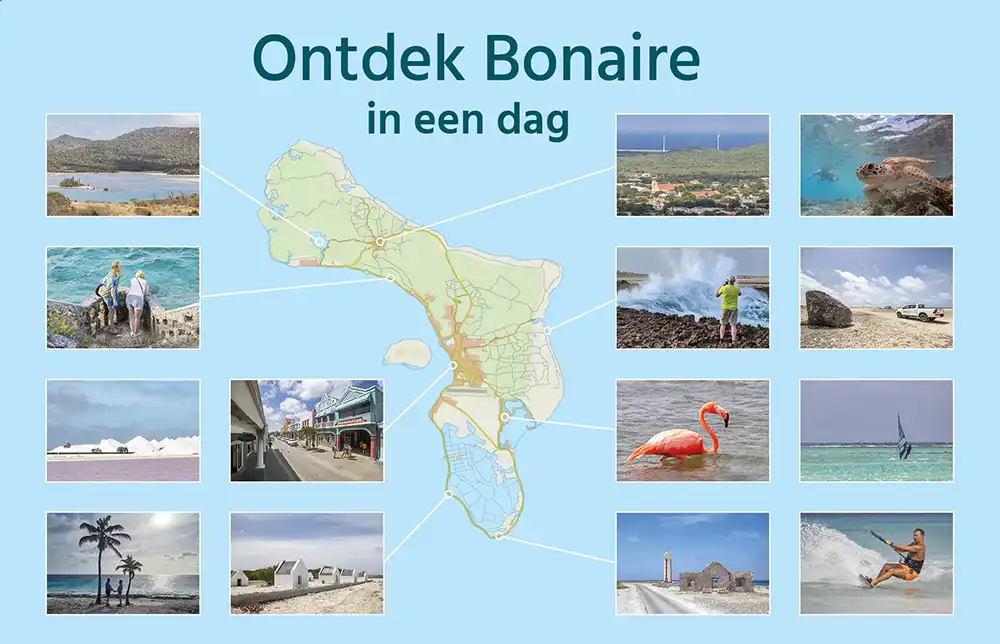 Ontdek Bonaire in een dag