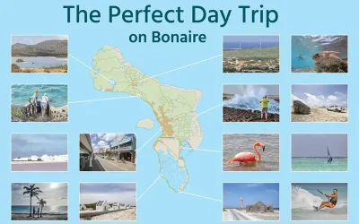 The Perfect Day Trip on Bonaire