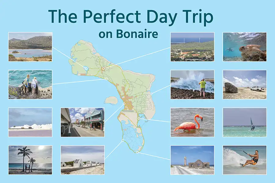 The Perfect Day Trip on Bonaire