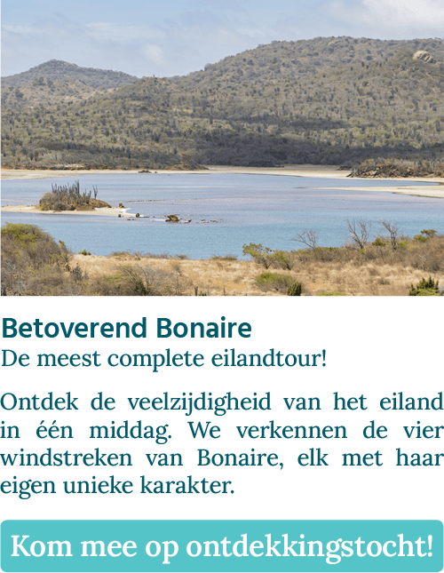 Knop met Betoverend Bonaire - De meest complete eilandtour! met een afbeelding van het Gotomeer op Bonaire.
