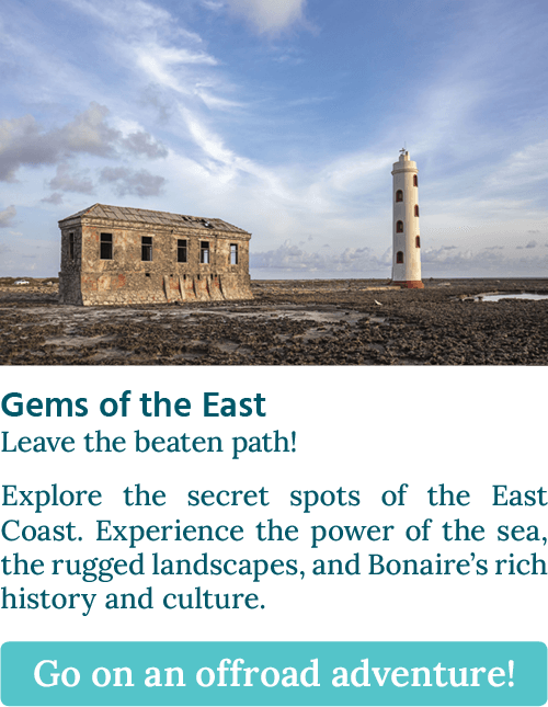 More info about this tour... CTA button stating: "Gems of the East, Leave the beaten path!"