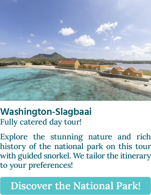 More info about this tour... CTA button stating: "Washington-Slagbaai, Fully catered day tour".