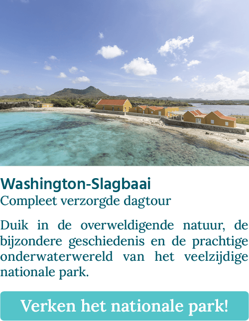 Knop met Washington-Slagbaai - Compleet verzorgde dagtour met een afbeelding van de Slagbaai op Bonaire.