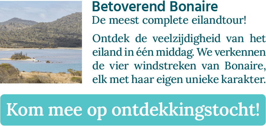 CTA-knop van de Betoverend Bonaire eilandtour, de meest complete eilandtour van Bonaire.