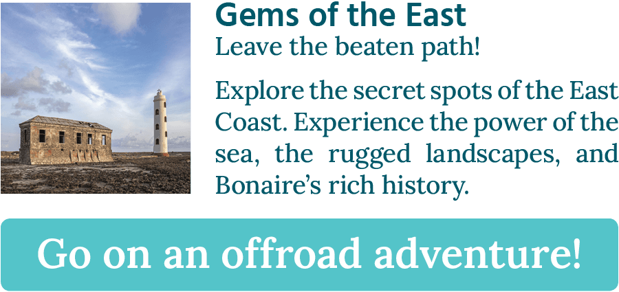 CTA button stating: "Gems of the East, Leave the beaten path!"