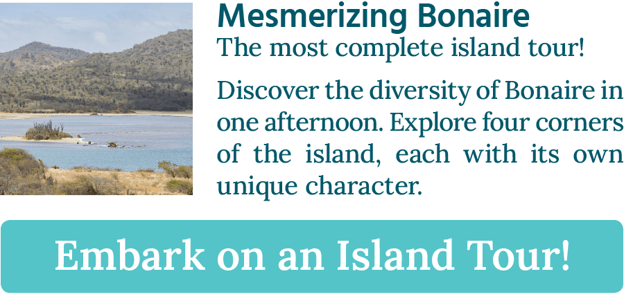 CTA button stating: "Mesmerizing Bonaire, The most complete island tour!"