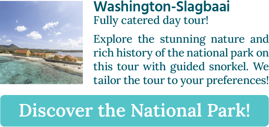 CTA button stating: "Washington-Slagbaai, fully ce=atered day tour!"