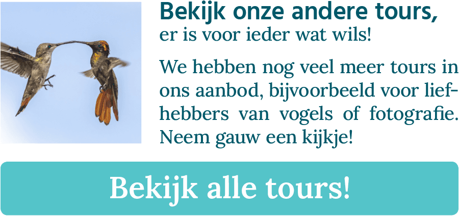 CTA-knop met de tekst: Bekijk onze andere tours, er is voor ieder wat wils!" met een afbeelding van twee flamingo's.