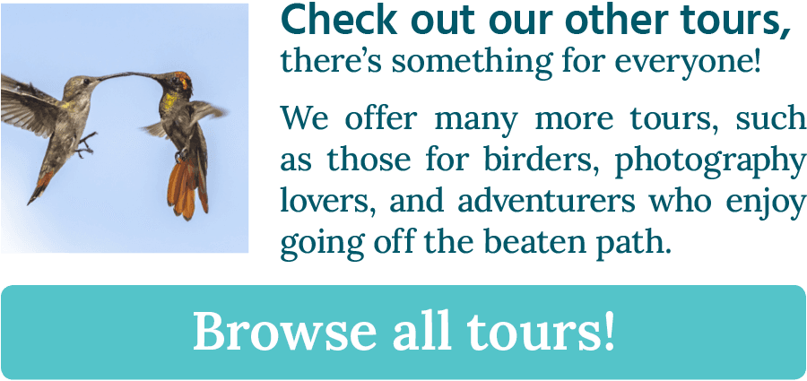 CTA button stating: "Check out our other tours, there's something for everyone!"