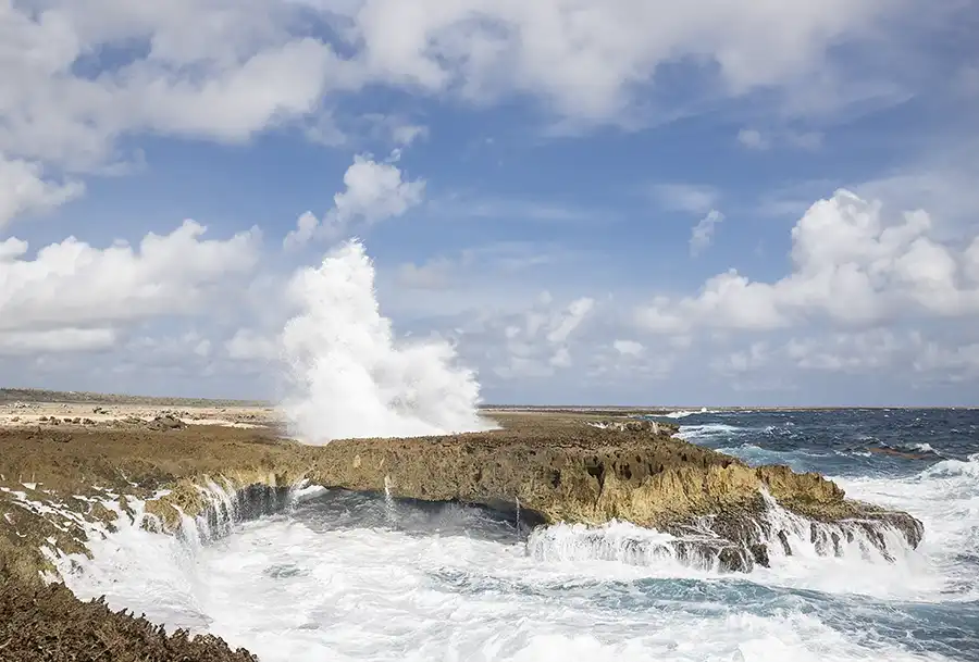 During the "Gems of the East" tour, we visit the Natural bridge blowhole.