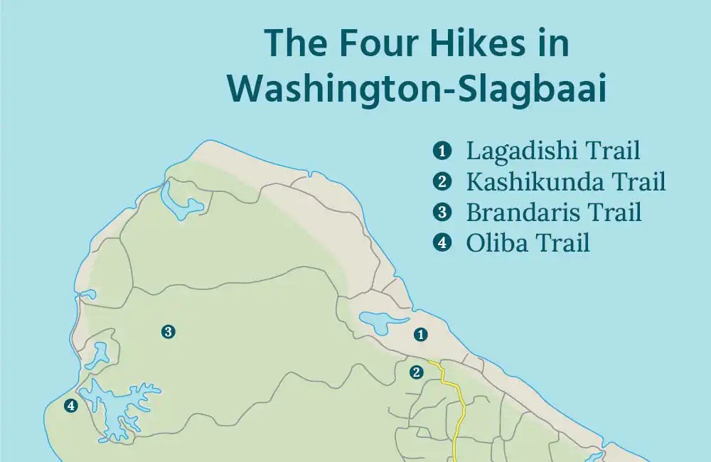 The Four Hikes in Washington-Slagbaai