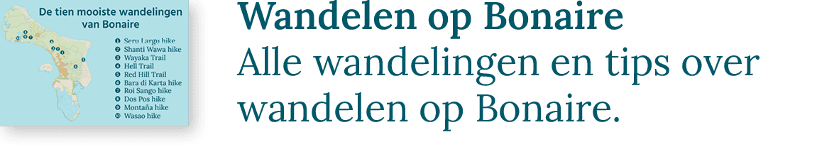 Wandelen op Bonaire | Lees onze blogserie over wandelen op Bonaire.