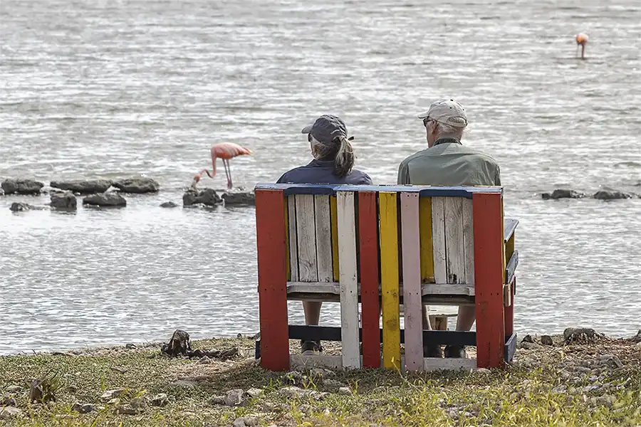 Sharing Island Love door samen flamingo's te kijken op een locatie buiten de gebaande paden.