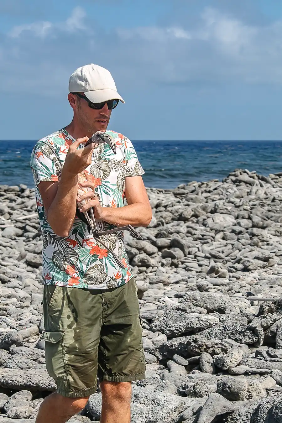 Redden van een flamingokuiken aan de oostkust van Bonaire.