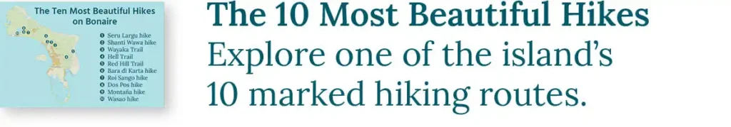 CTA button to the blog about the 10 most beautiful hikes. Explore one of the island's 10 marked hiking routes.