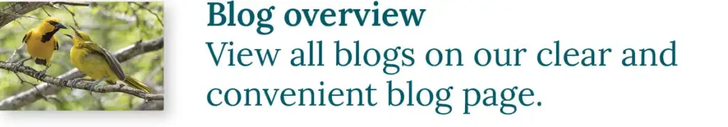CTA button to the HopiBonaire blog overview: View all blogs on our clear and convenient blog page.