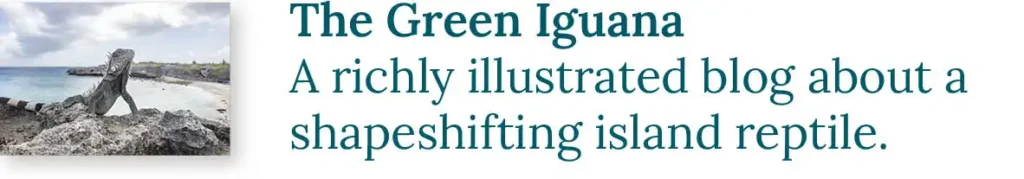CTA button to the blog about the green iguana, a richly illustrated blog about a shapeshifting island reptile.