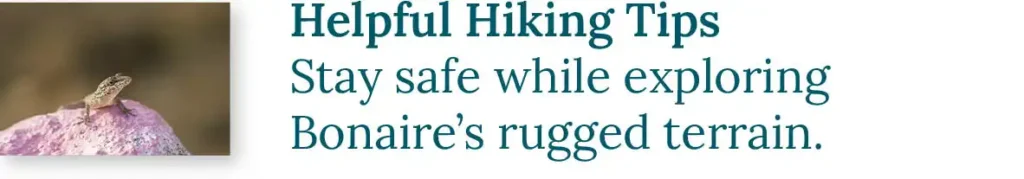 CTA button to the blog about helpful hiking tips. Stay safe while exploring Bonaire's rugged terrain.