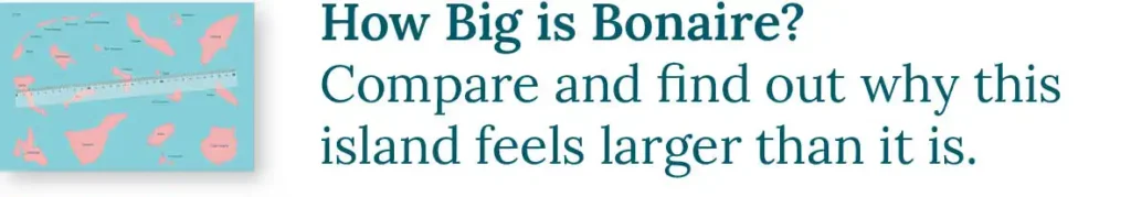CTA button to the blog about how big Bonaire is. Compare and find out why this island feels larger than it is.