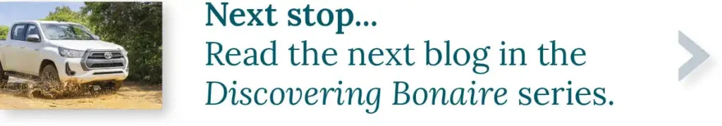 CTA button to the next blog in our Discovering Bonaire series. Next stop...