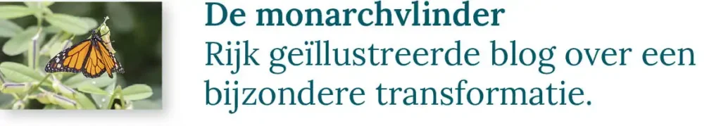 Knop naar de blog over de monarchvliender: Rijk geïllustreerde blog over een bijzondere transformatie.