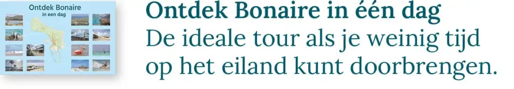 Knop naar de blog over het ontdekken van Bonaire in één dag: De ideale tour als je weinig tijd op het eiland kunt doorbrengen.