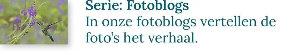 Knop naar de serie fotoblogs, blogs waarin de foto's het verhaal vertellen.