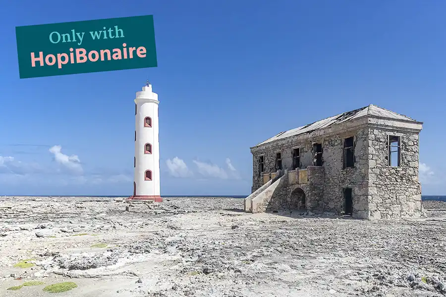 Visit Spelonk Lighthouse during the Gems of the East tour with HopiBonaire.