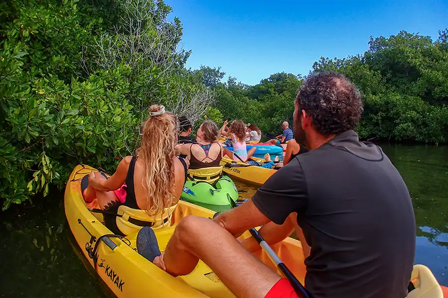 Kayak tour in the mangroves on Bonaire.