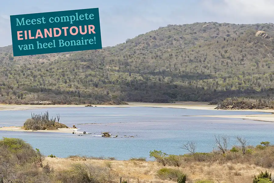 Bewonder het Gotomeer en tijdens de eilandtour van HopiBonaire: De Betoverend Bonaire tour.