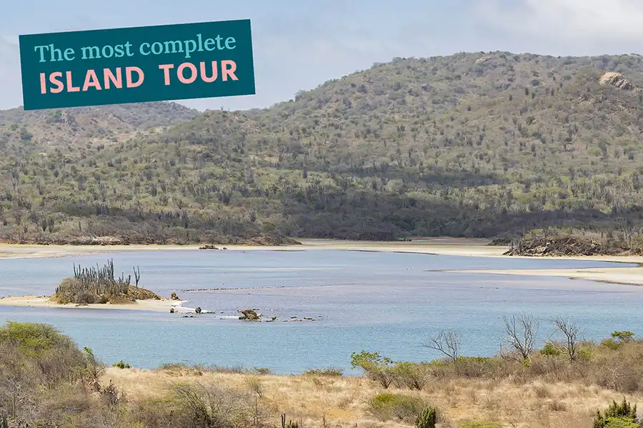 Admire Lake Goto during the island tour with HopiBonaire: The Mesmerizing Bonaire tour.