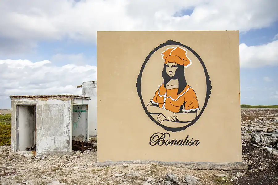 Explore Bonaire's street art during a customized tour with HopiBonaire.