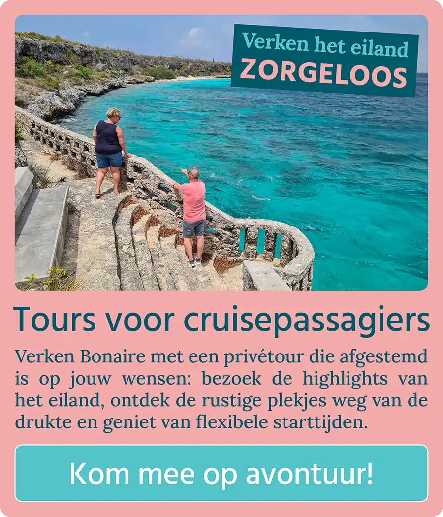 Call to action button: Tours voor cruisepassagiers - Kom mee op avontuur!