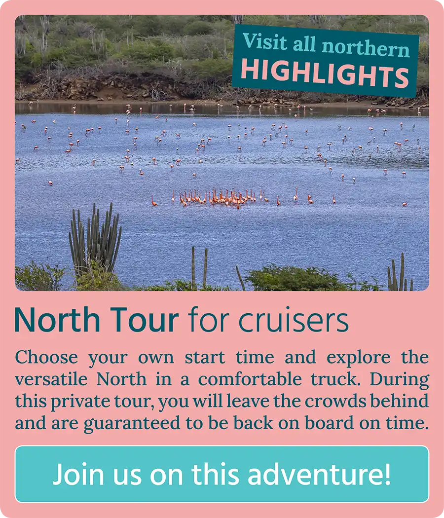 Call to action button: North Tour for cruisers - Join us on this adventure!